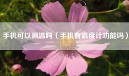手机可以测温吗（手机有温度计功能吗）