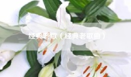 经典老歌（经典老歌曲）