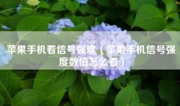 苹果手机看信号强度（苹果手机信号强度数值怎么看）
