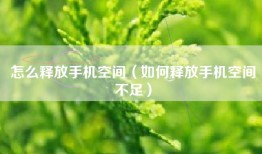 怎么释放手机空间（如何释放手机空间不足）