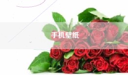 手机壁纸