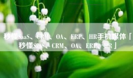 秒懂SaaS、CRM、OA、ERP、HR手机媒体「秒懂SaaS、CRM、OA、ERP、HR」