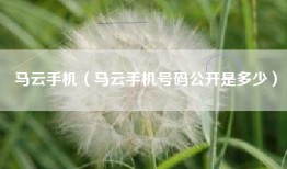 马云手机（马云手机号码公开是多少）