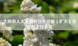 大同市人大常委会召开党组（扩大）会议和主任会议