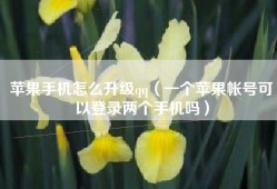 苹果手机怎么升级qq（一个苹果帐号可以登录两个手机吗）