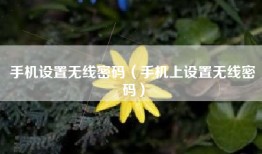 手机设置无线密码（手机上设置无线密码）