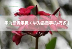 华为最贵手机（华为最贵手机6万多）