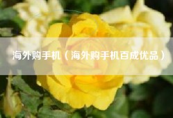 海外购手机（海外购手机百成优品）