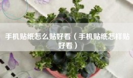 手机贴纸怎么贴好看（手机贴纸怎样贴好看）
