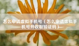怎么申请虚拟手机号（怎么申请虚拟手机号并收取验证码）