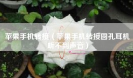 苹果手机转接（苹果手机转接圆孔耳机听不到声音）