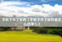 手机下不了东西（手机下不了软件是怎么回事？）
