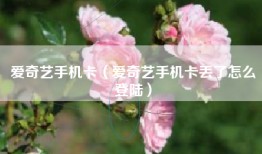 爱奇艺手机卡（爱奇艺手机卡丢了怎么登陆）