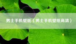 男士手机壁纸（男士手机壁纸高清）