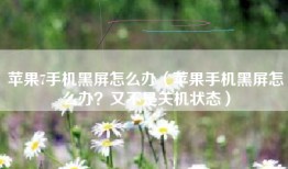 苹果7手机黑屏怎么办（苹果手机黑屏怎么办？又不是关机状态）