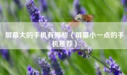 屏幕大的手机有哪些（屏幕小一点的手机推荐）