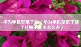 华为手机壁纸下载（华为手机壁纸下载了过期不能用怎么办）