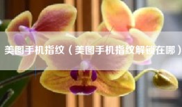 美图手机指纹（美图手机指纹解锁在哪）