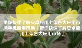 带你快速了解安卓应用上架各大应用市场手机应用市场「带你快速了解安卓应用上架各大应用市场」