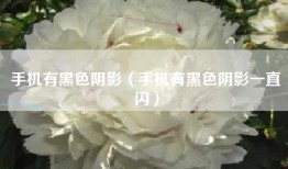 手机有黑色阴影（手机有黑色阴影一直闪）