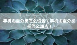 手机淘宝分类怎么设置（手机淘宝分类栏怎么加入）