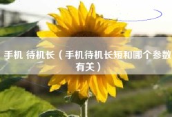 手机 待机长（手机待机长短和哪个参数有关）