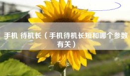 手机 待机长（手机待机长短和哪个参数有关）