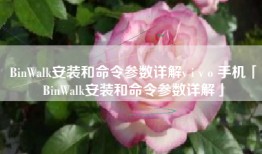 BinWalk安装和命令参数详解v i v o 手机「BinWalk安装和命令参数详解」