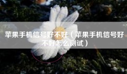 苹果手机信号好不好（苹果手机信号好不好怎么测试）