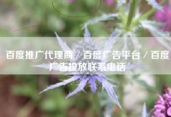百度推广代理商／百度广告平台／百度广告投放联系电话