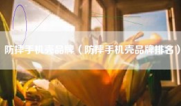 防摔手机壳品牌（防摔手机壳品牌排名）