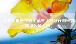 苹果手机好在哪（苹果手机好在哪里为啥那么多人用）