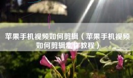 苹果手机视频如何剪辑（苹果手机视频如何剪辑制作教程）