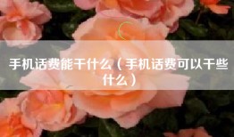 手机话费能干什么（手机话费可以干些什么）