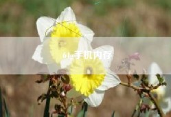 64g手机内存