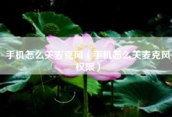 手机怎么关麦克风（手机怎么关麦克风权限）
