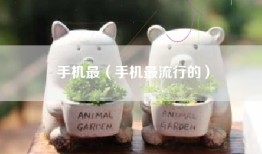 手机最（手机最流行的）