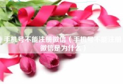 手机号不能注册微信（手机号不能注册微信是为什么）
