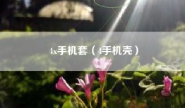 4x手机套（4手机壳）