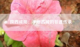 陕西咸阳：千年古城的非遗传承