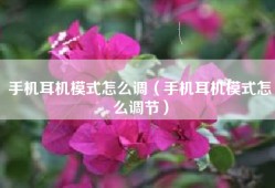手机耳机模式怎么调（手机耳机模式怎么调节）