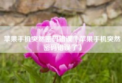 苹果手机突然密码错误（苹果手机突然密码错误了）