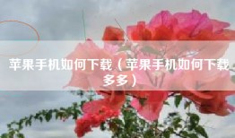 苹果手机如何下载（苹果手机如何下载多多）