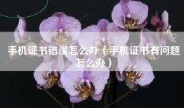 手机证书错误怎么办（手机证书有问题怎么办）