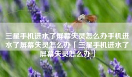 三星手机进水了屏幕失灵怎么办手机进水了屏幕失灵怎么办「三星手机进水了屏幕失灵怎么办」