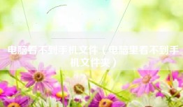 电脑看不到手机文件（电脑里看不到手机文件夹）