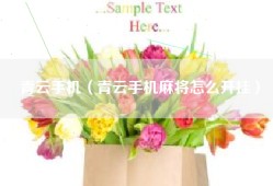 青云手机（青云手机麻将怎么开挂）