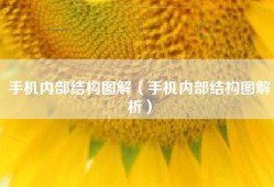 手机内部结构图解（手机内部结构图解析）