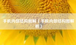 手机内部结构图解（手机内部结构图解析）