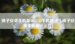 镜子安卓手机版20.22.15手机镜子「镜子安卓手机版20.22.15」